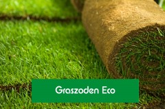 Schaduwgras Eco